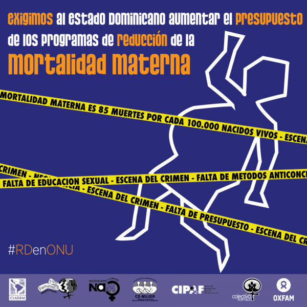 Centro de Investigación para la Acción Femenina (CIPAF)